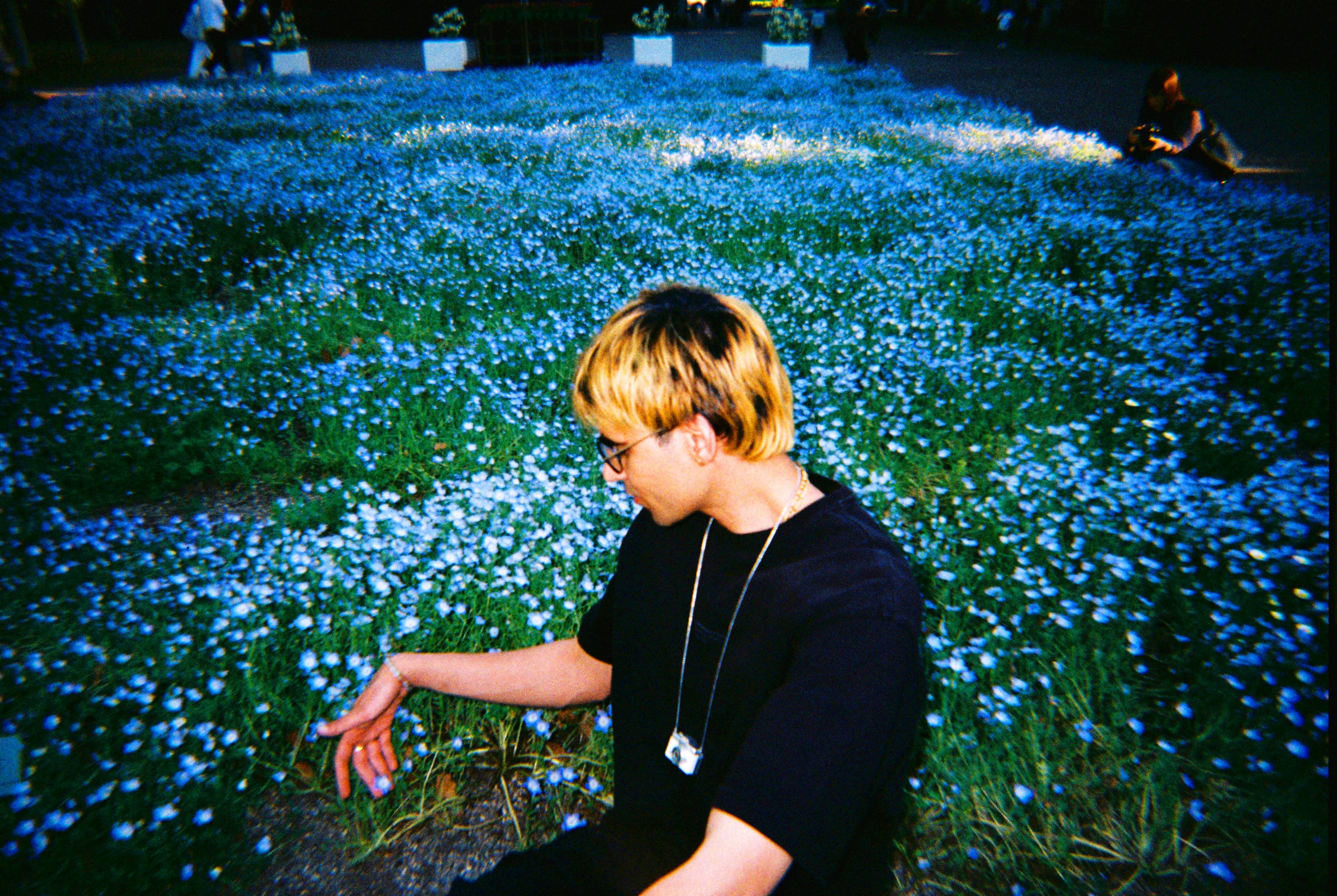 Rohit sentado en un campo de flores azules de nemophila